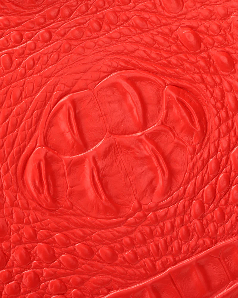 Statement 2-Piece Luggage Set in Red - Image 18